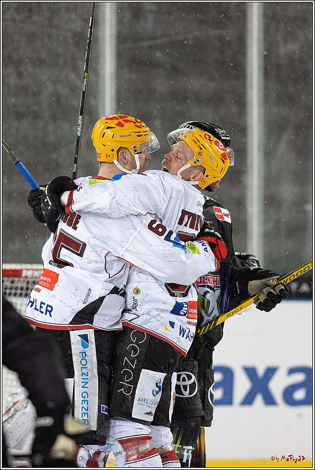 PENNY DEL;  Kölner Haie - Fischtown Pinguins; Köln, 22.12.2022